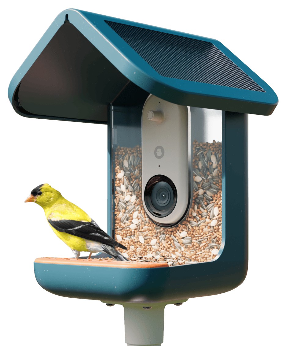 Smart Bird Feeder Pro