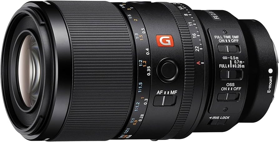 FE 100mm F2 8 Macro GM OSS