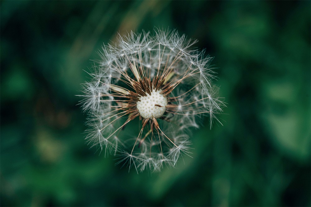FE 90mm f 2 8 Macro G OSS