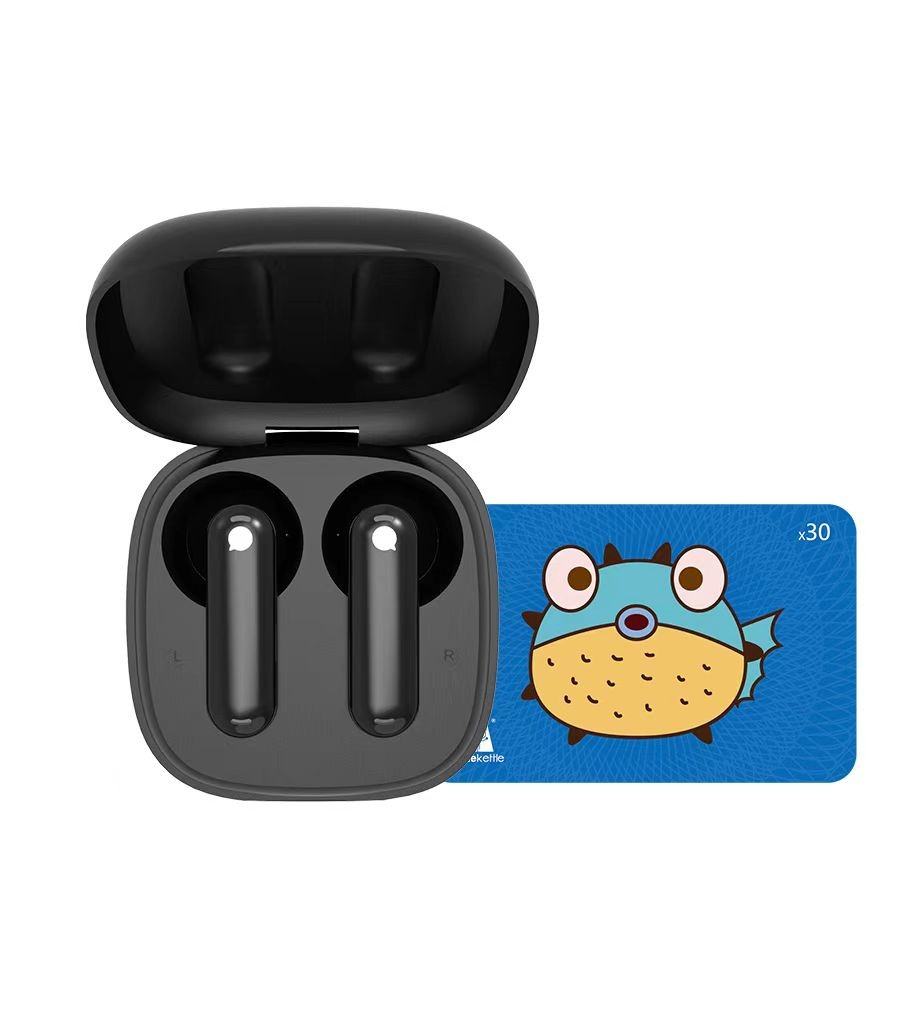 WT2 Edge Translator Earbuds